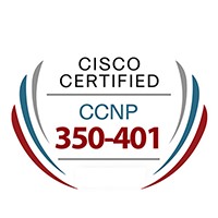 CISCO 350-401 ENCOR: Implementing and Operating Cisco Enterprise Network Core Technologies